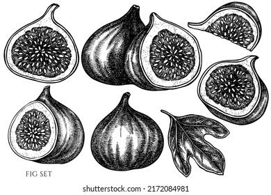 15,180 Black and white fig Images, Stock Photos & Vectors .